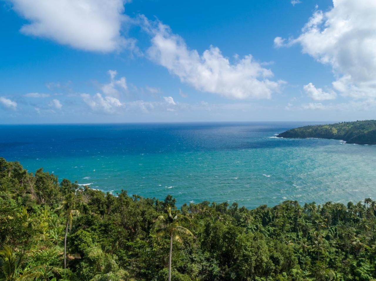 Pagua Bay House - Oceanfront Cabana'S Marigot Exterior photo